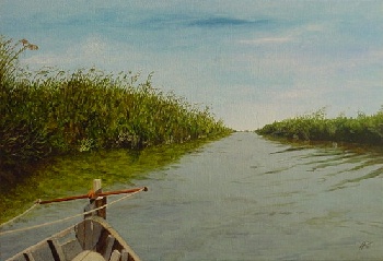 Albufera II